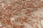 Vloerkleed My Bologna 460 terracotta – machinegeweven en zacht - Lalee.Avenue
